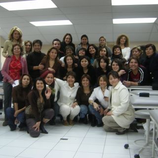 2007.  CURSO DE TERAPIAS MANUALES . Dermik. Santiago de Chile
